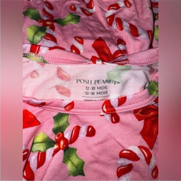 Posh Peanut NWT HELEN RUFFLE LONG SLEEVE BUBBLE ROMPER 12-18 months - Picture 6 of 6